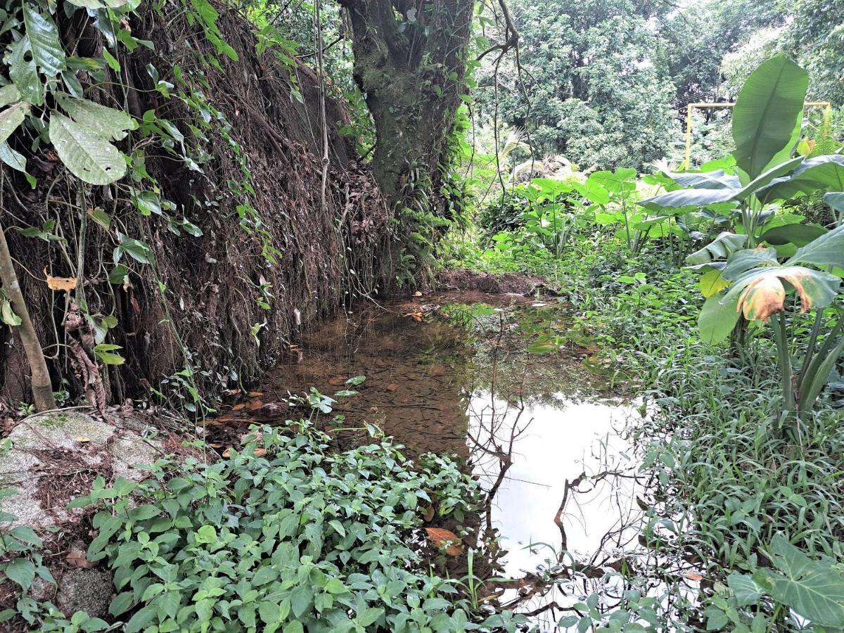 Paradisiaco, Piscina E Churrasqueira Em Guapimirim Buitenkant foto