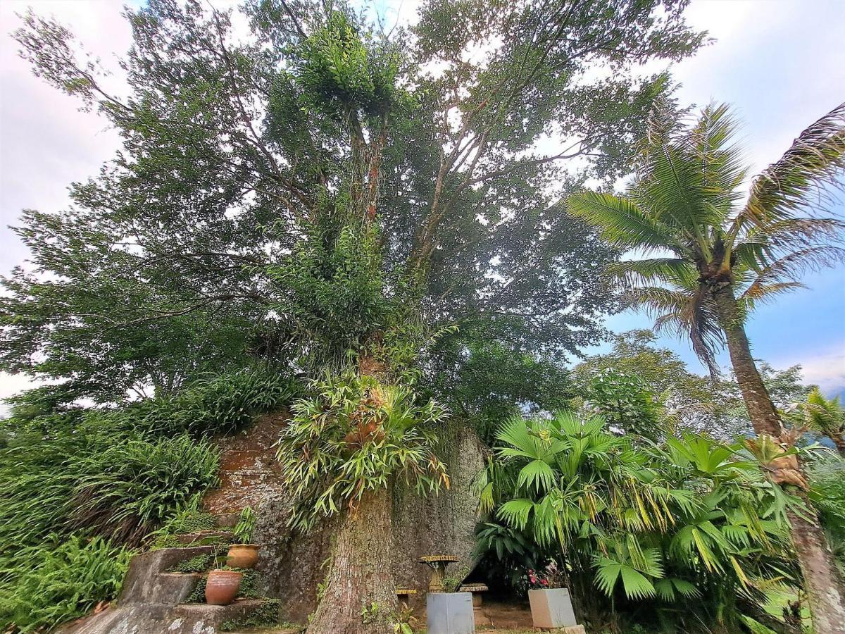 Paradisiaco, Piscina E Churrasqueira Em Guapimirim Buitenkant foto